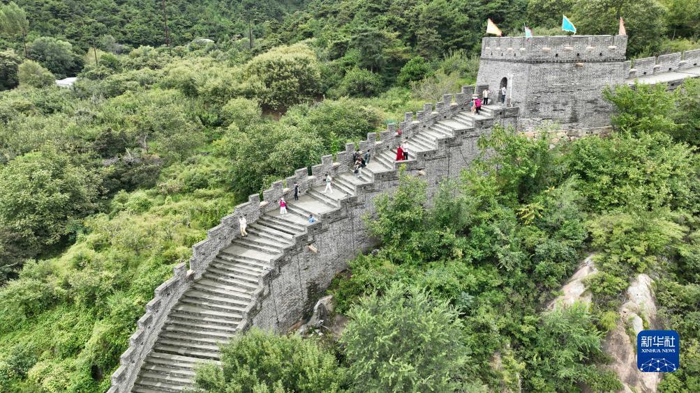 免费领取彩金